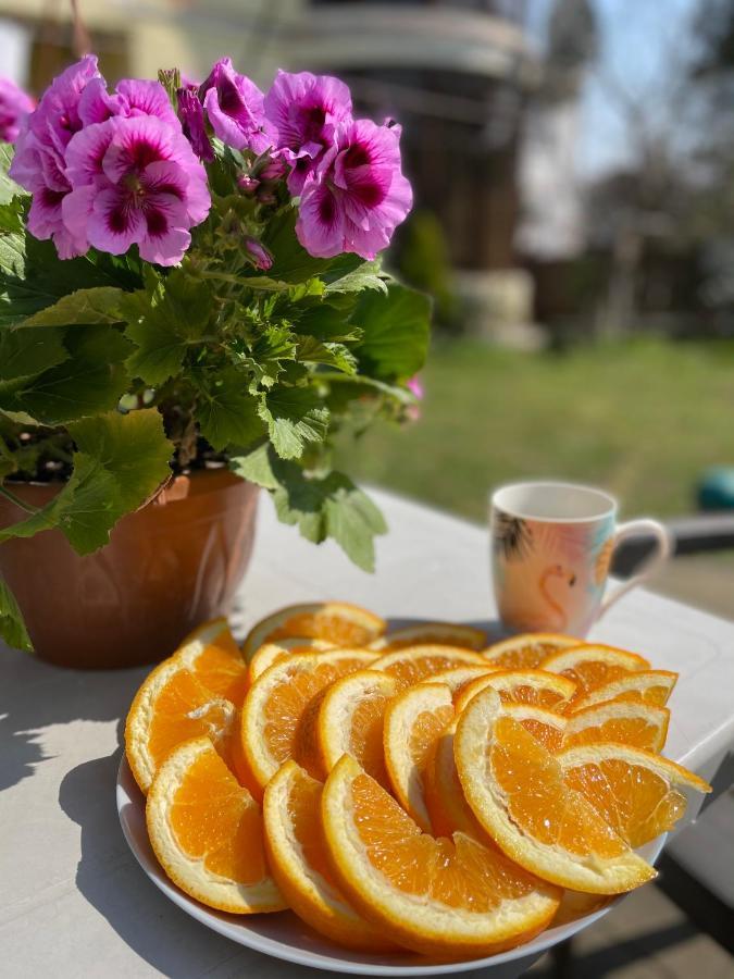 Guest House Кобулети Екстериор снимка